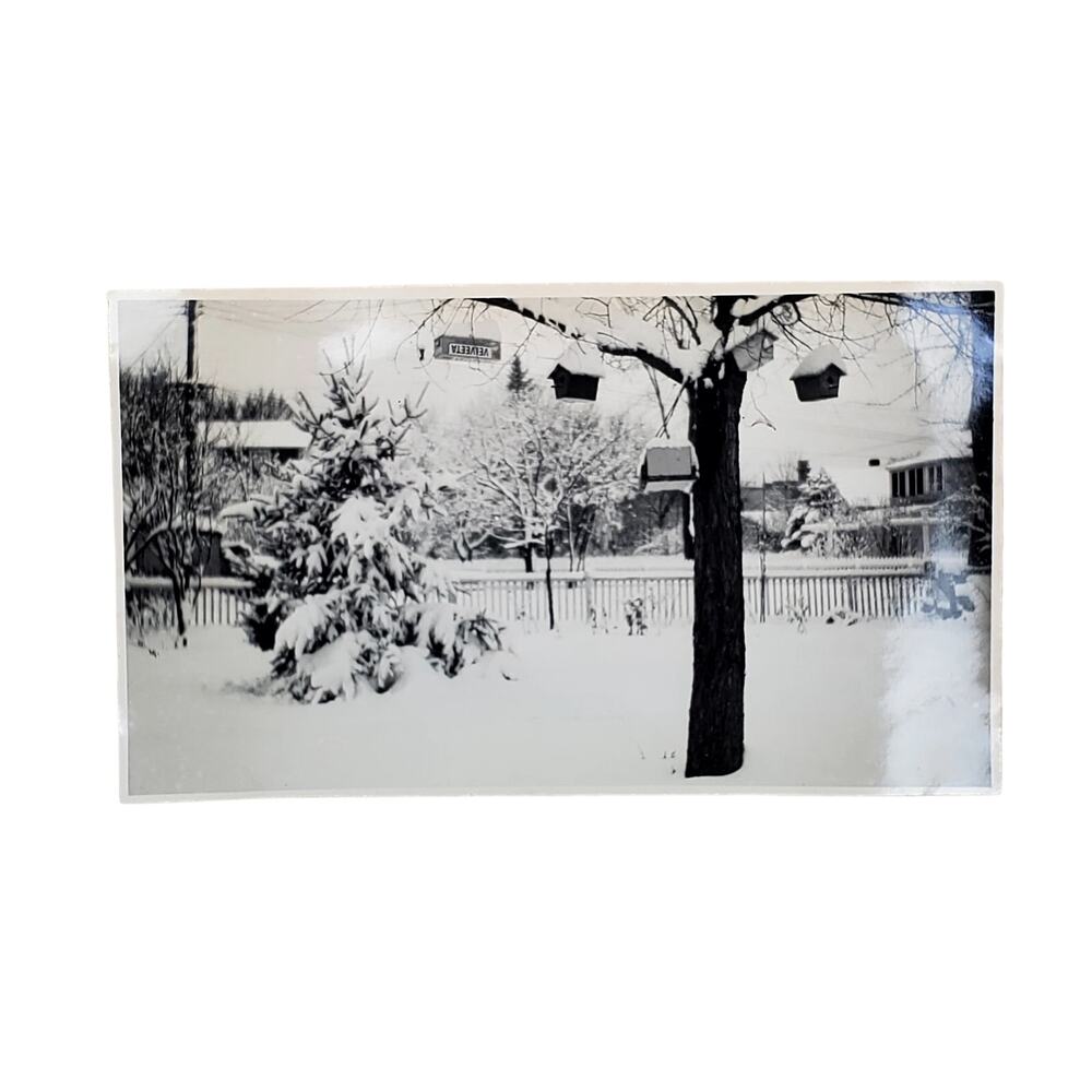 Vtg Snowy Day Bird Houses Covered in Snow Original Monochrome Photography 1960